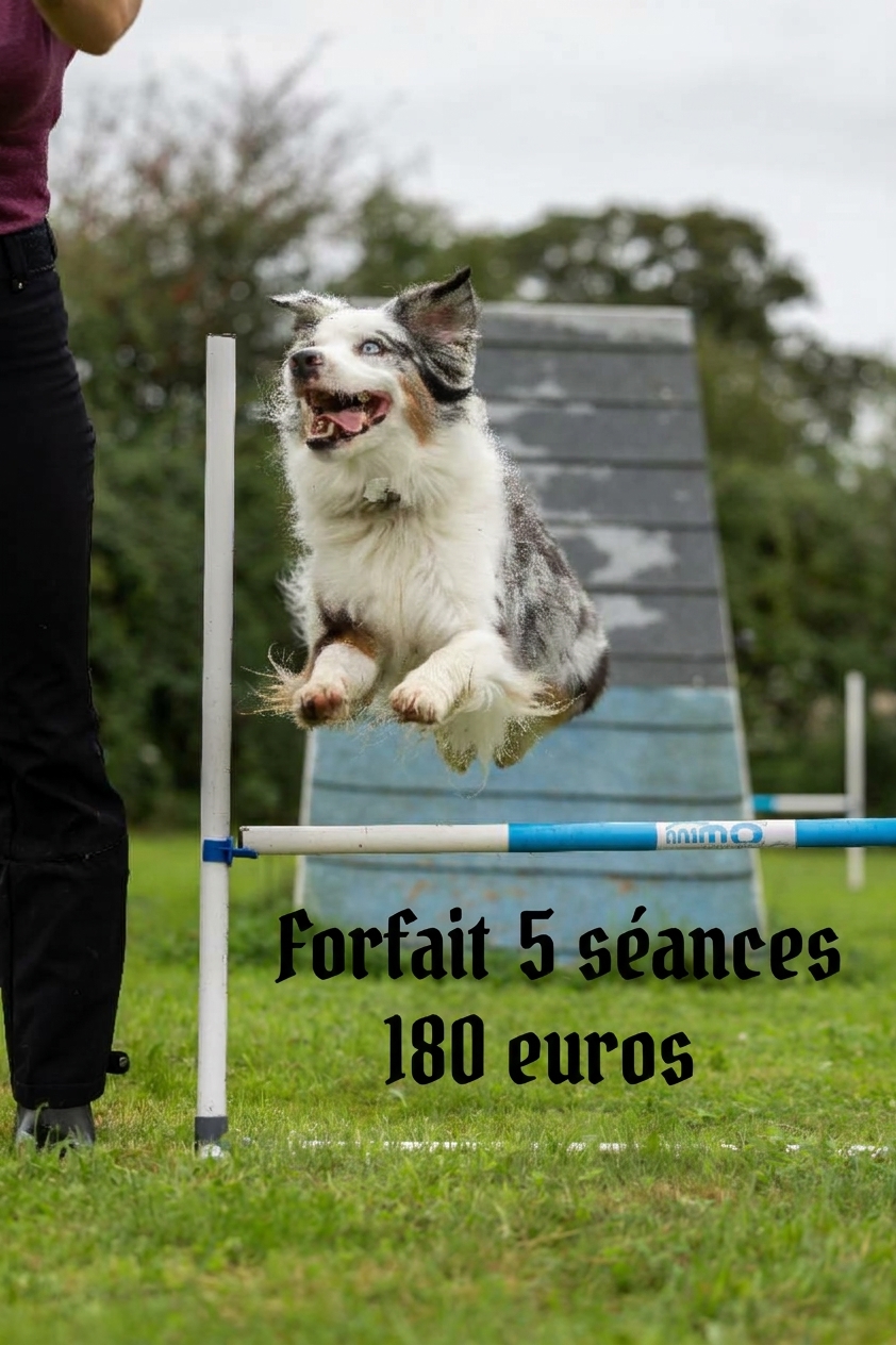 forfait 5 seances
